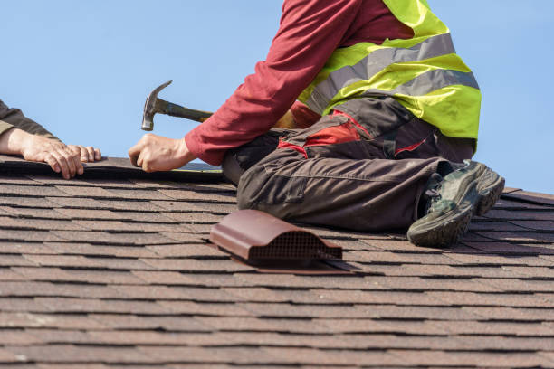 Roof Gutter Cleaning in Walhalla, SC