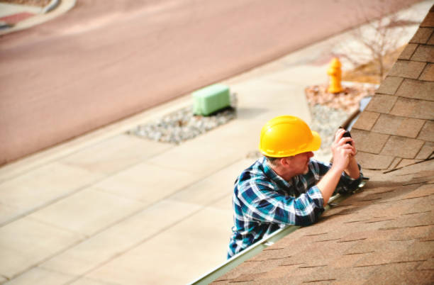 Best Roof Gutter Cleaning  in Walhalla, SC